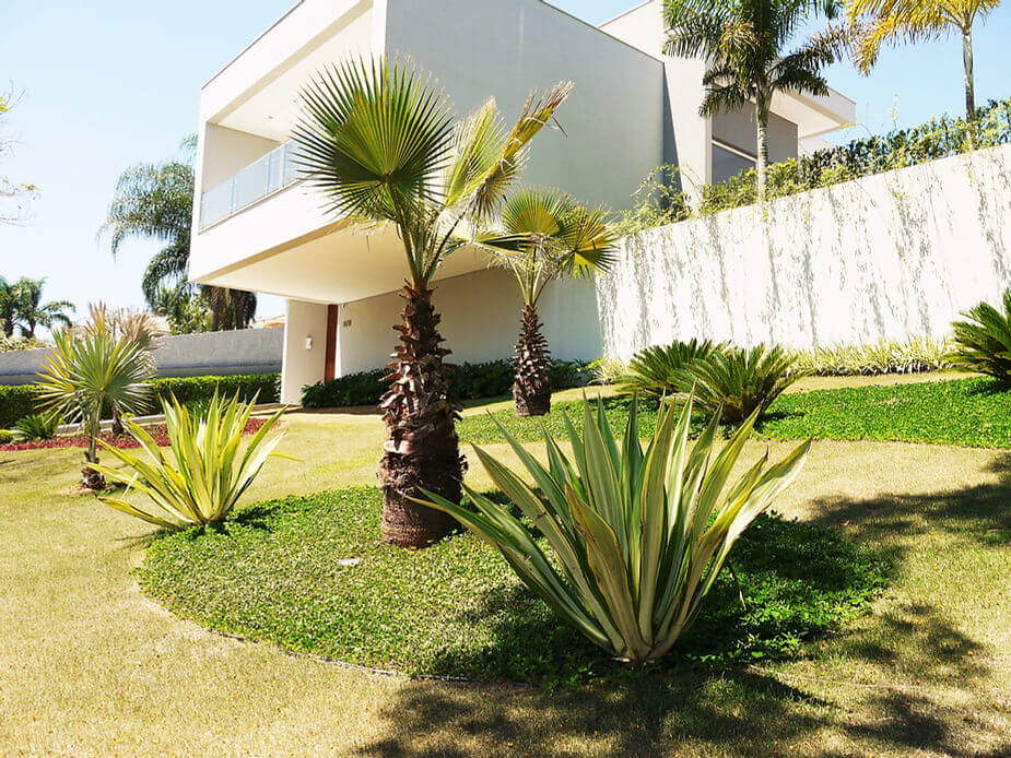 Como se inicia um projeto de paisagismo